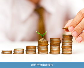 股權(quán)價值與項目投資風(fēng)險分析 專業(yè)機(jī)構(gòu)的選擇與價格考量