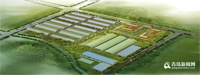 13個現代農業項目落戶西海岸，總投資52億元