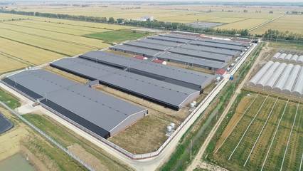 江蘇農業農村重大項目投資規模創新高，近千項目總投資超2200億元